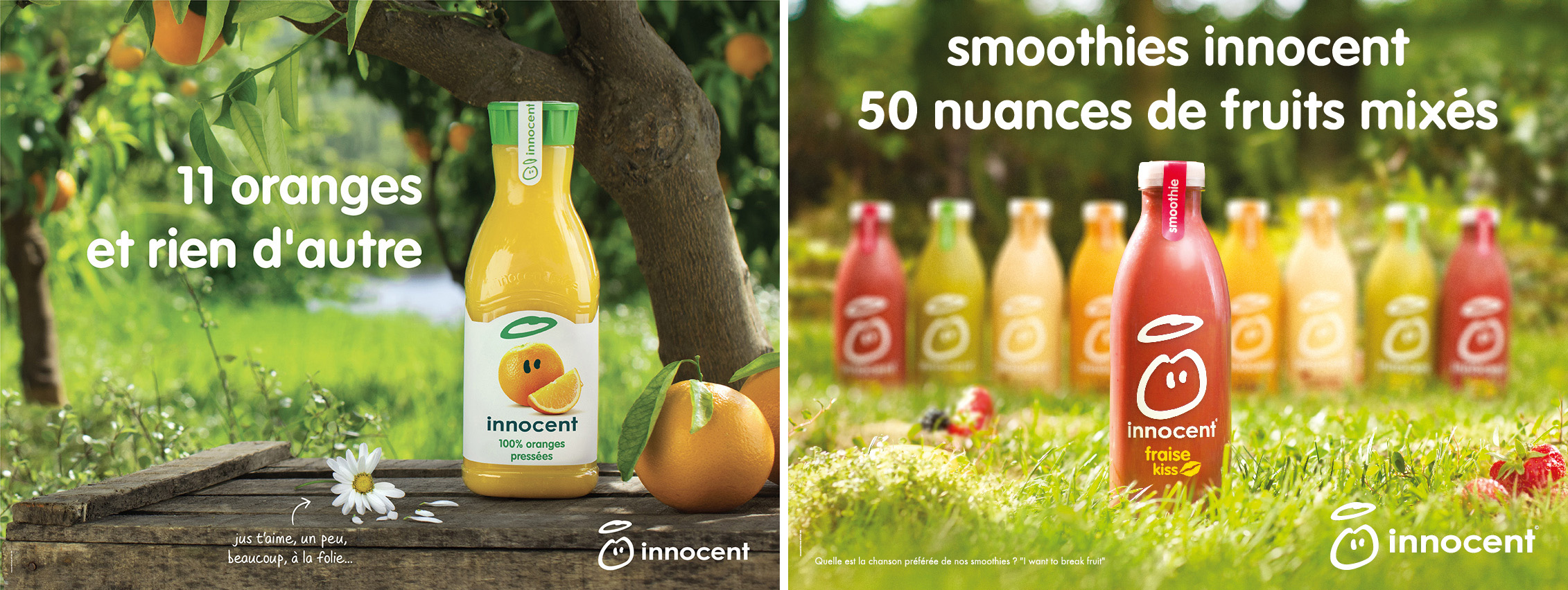 innocent_fleur_12m2_PRINT